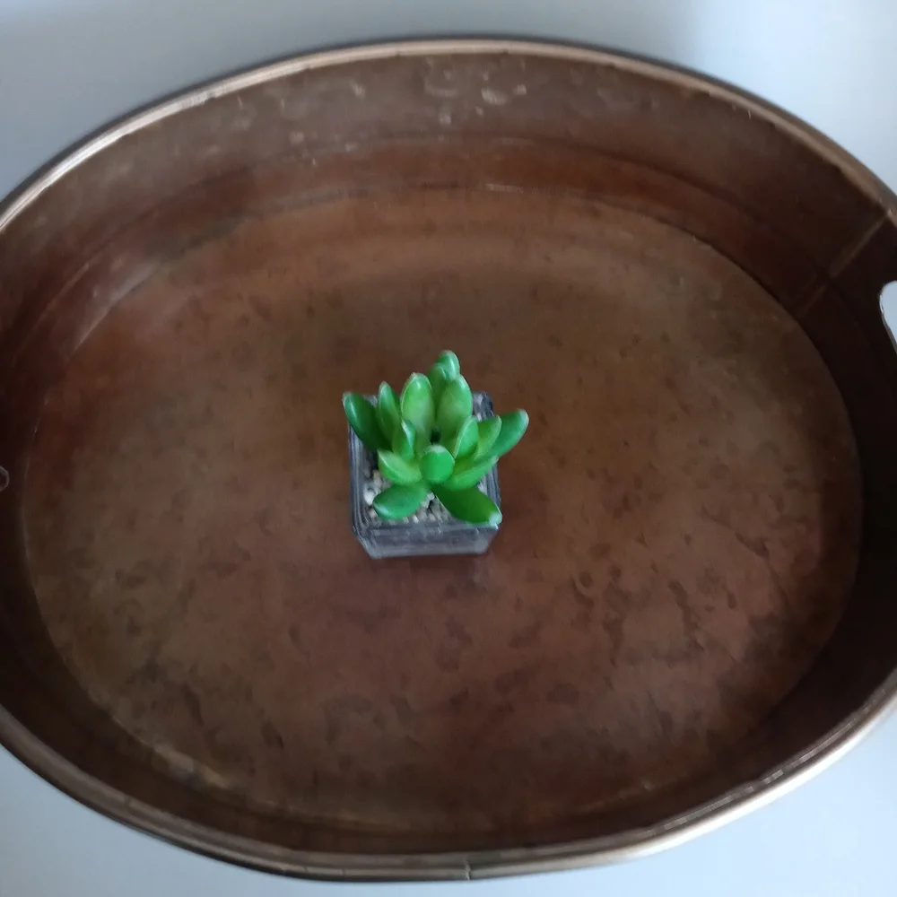 unbranded oval metal